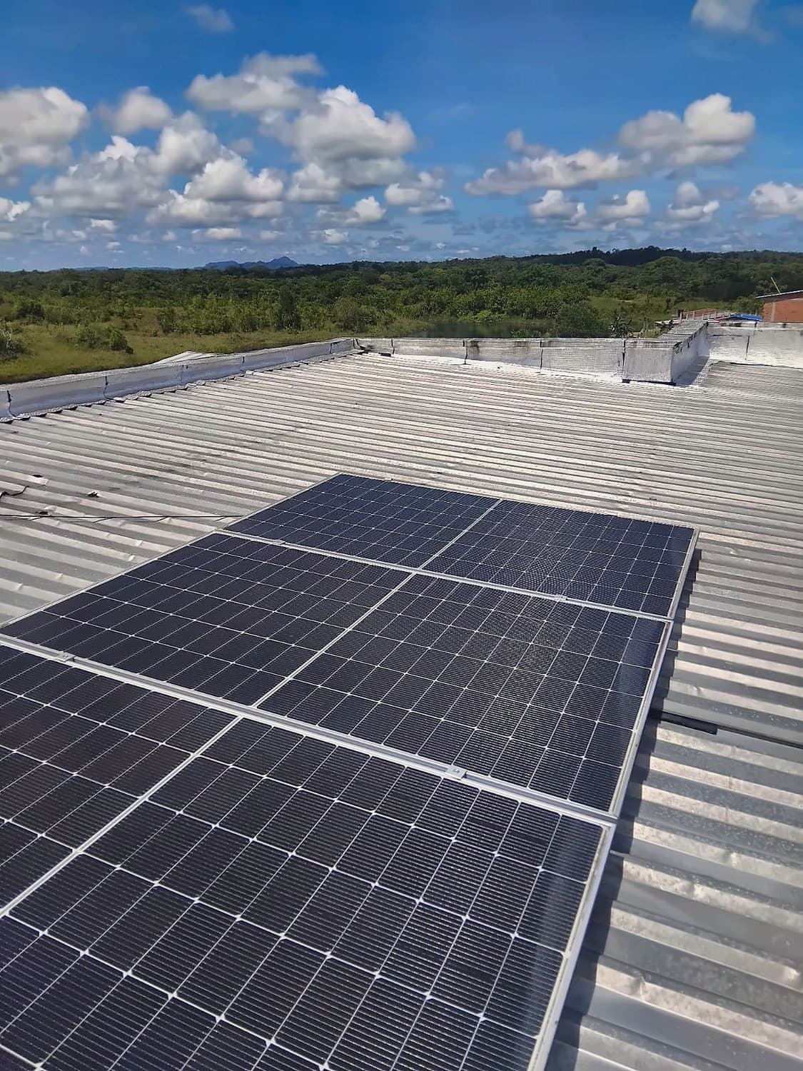 Paneles solares sobre una cubierta metálica con vegetación al fondo