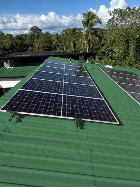 Paneles solares sobre una cubierta metálica verde rodeada de palmas